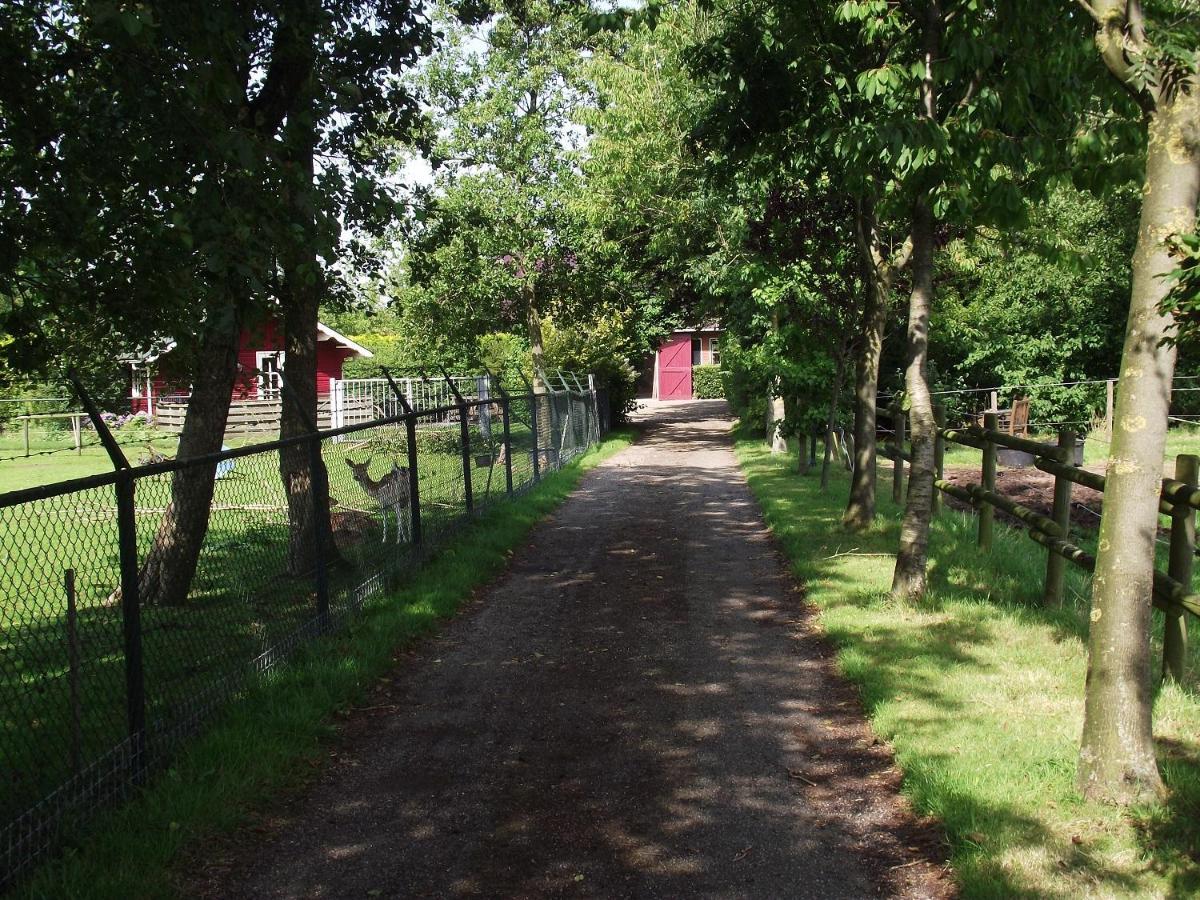 Vakantiehuisjes Landgoed Sonneborghe Kollumerzwaag Exteriér fotografie