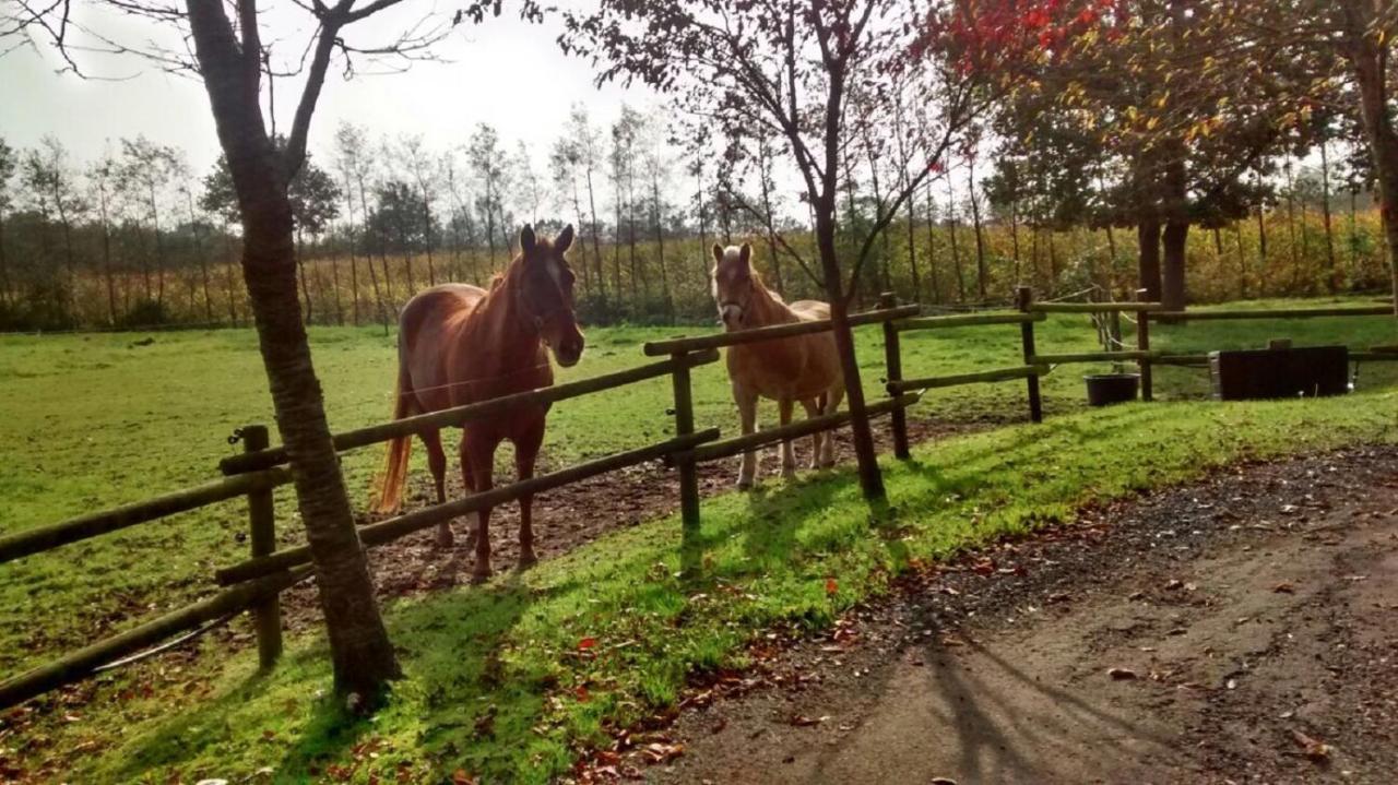 Vakantiehuisjes Landgoed Sonneborghe Kollumerzwaag Exteriér fotografie