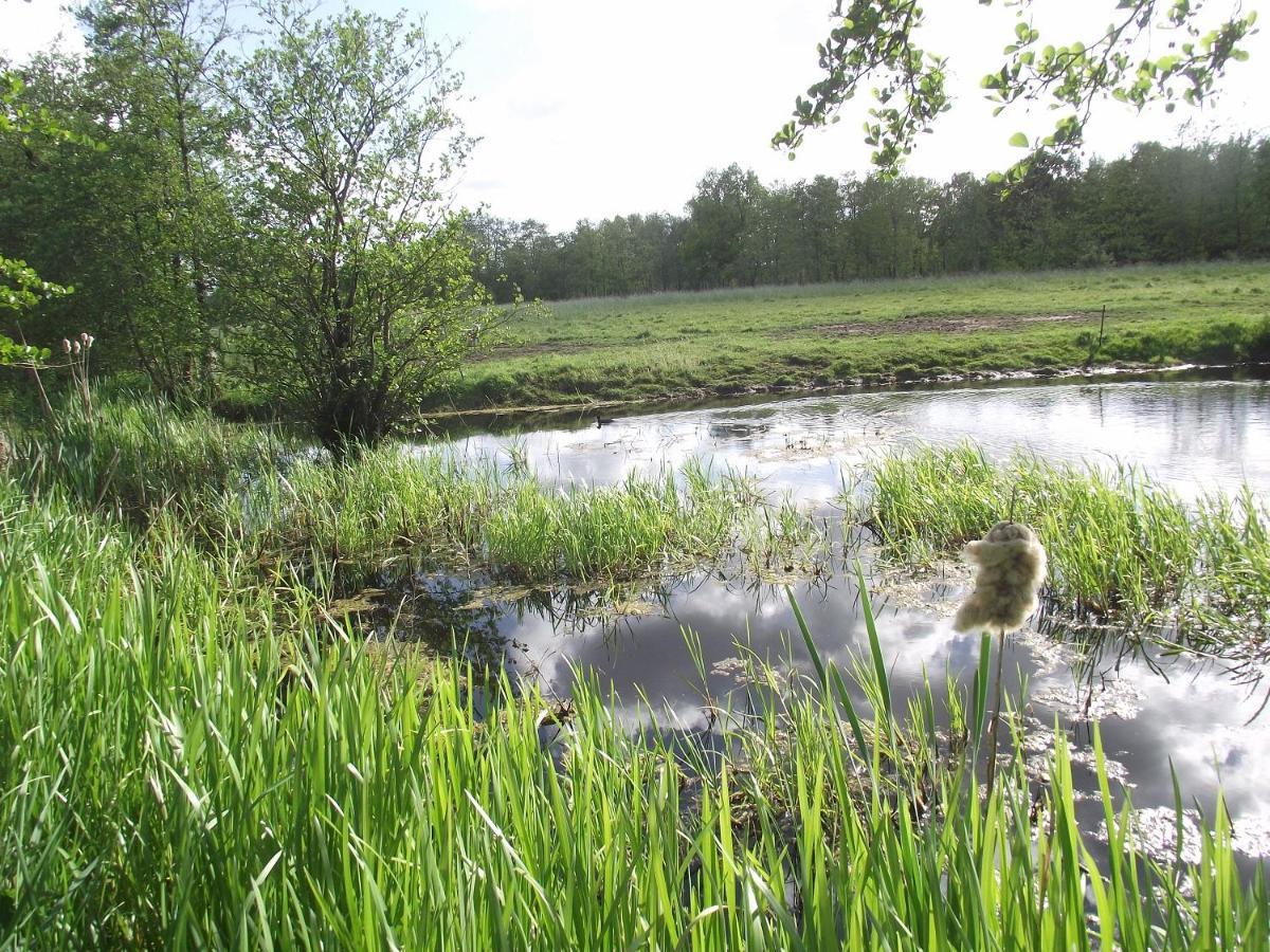 Vakantiehuisjes Landgoed Sonneborghe Kollumerzwaag Exteriér fotografie