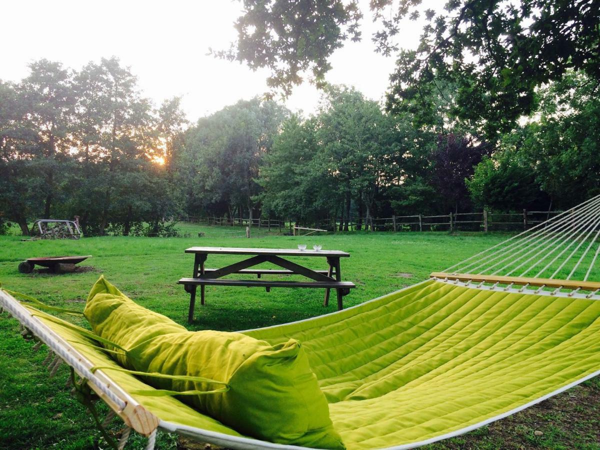 Vakantiehuisjes Landgoed Sonneborghe Kollumerzwaag Exteriér fotografie