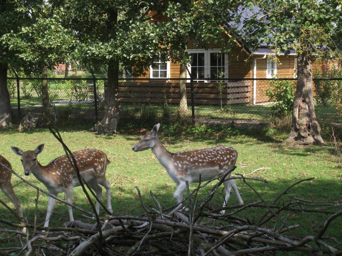 Vakantiehuisjes Landgoed Sonneborghe Kollumerzwaag Exteriér fotografie